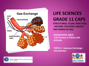 Grade 11 Life Sciences CAPS: Gaseous Exchange Introduction