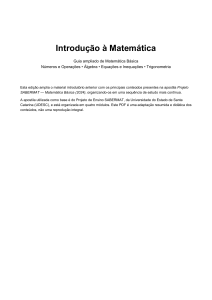 Introdu&ccedil;&atilde;o &agrave; Matem&aacute;tica: Guia de Matem&aacute;tica B&aacute;sica com Exerc&iacute;cios