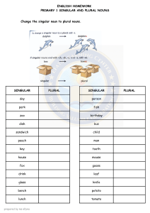 Primary 1 English Homework: Singular and Plural Nouns Worksheet