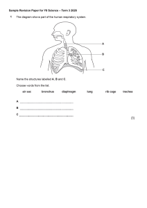 Y8 Science Revision Paper Term 3 2026 &ndash; Sample Practice Questions