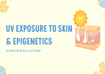 UV Exposure to Skin & Epigenetics: DNA, Histones, miRNA