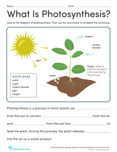 What Is Photosynthesis? Printable Elementary Science Worksheet