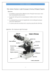 Microscope Use Guid Practical 1 Microscopy: Light Microscope Use & Biological Diagrams