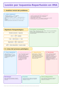 Fisiopatolog&iacute;a M&eacute;dica: Isquemia-Reperfusi&oacute;n, VIH, TB, AR, Down