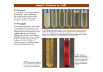 Paging Interface Atlas Growth Patterns in Broth: Microbiology Laboratory Atlas Guide