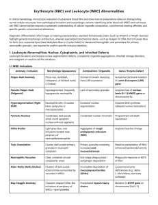 Erythrocyte and Leukocyte Abnormalities: Hematology Study Guide