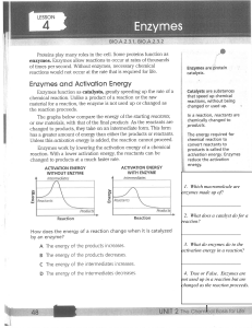 Enzymes Lesson and Quiz: Catalysts and Activation Energy